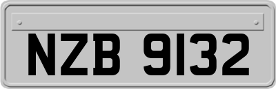 NZB9132