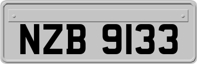 NZB9133