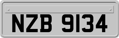 NZB9134