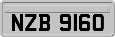 NZB9160