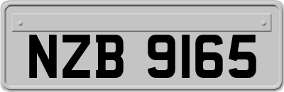 NZB9165