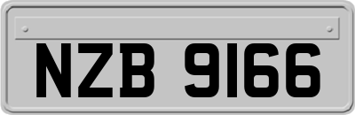 NZB9166