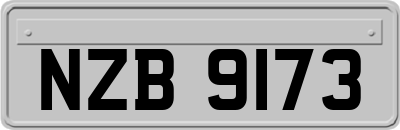 NZB9173