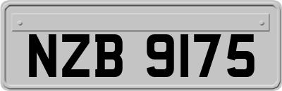 NZB9175