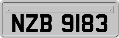 NZB9183