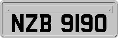 NZB9190