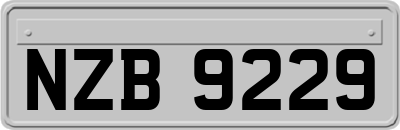 NZB9229