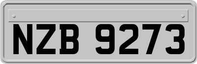 NZB9273
