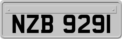 NZB9291