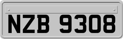 NZB9308