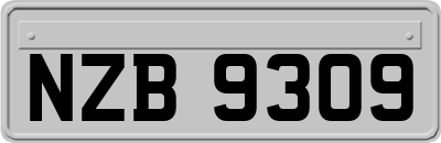 NZB9309
