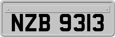 NZB9313
