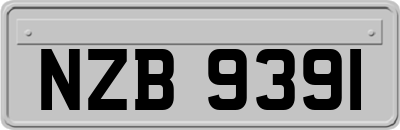 NZB9391