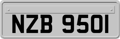 NZB9501