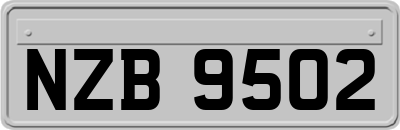 NZB9502