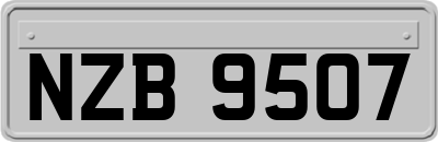 NZB9507