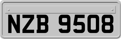 NZB9508