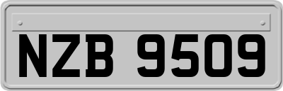 NZB9509