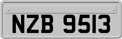 NZB9513