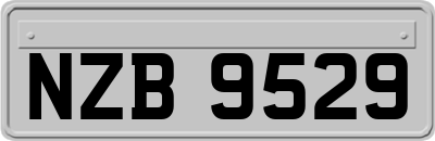NZB9529