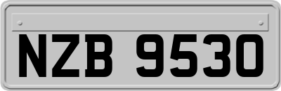 NZB9530