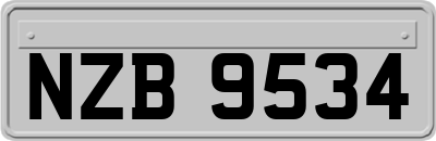 NZB9534