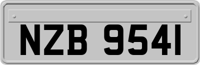 NZB9541