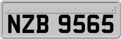 NZB9565