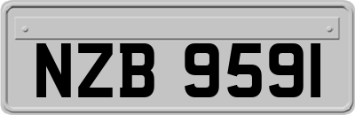 NZB9591
