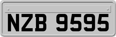 NZB9595