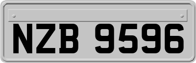 NZB9596
