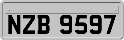 NZB9597
