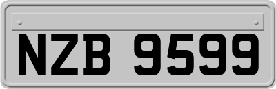 NZB9599
