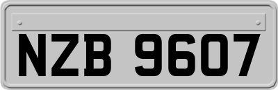 NZB9607