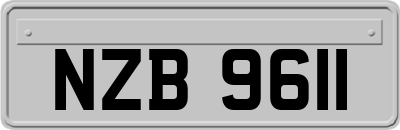 NZB9611