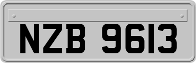 NZB9613