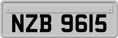 NZB9615