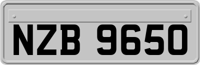 NZB9650