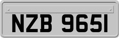 NZB9651