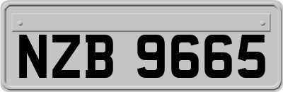 NZB9665