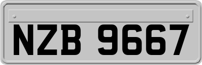 NZB9667