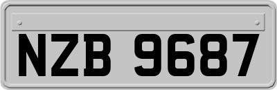 NZB9687