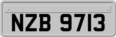 NZB9713