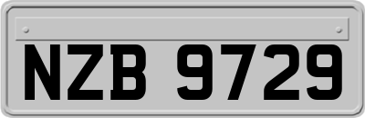 NZB9729