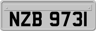 NZB9731