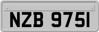 NZB9751