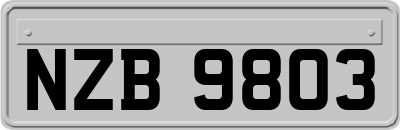 NZB9803