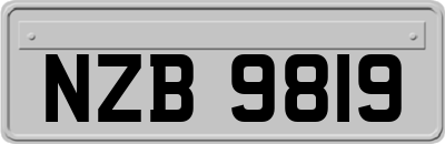 NZB9819