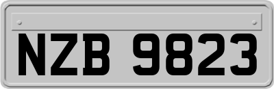 NZB9823