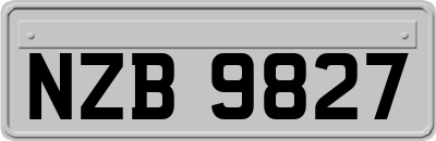 NZB9827
